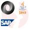 Integration Architect (SAP) - główne technologie