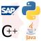 SQL Developer - główne technologie
