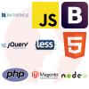 Shopify Developer - główne technologie