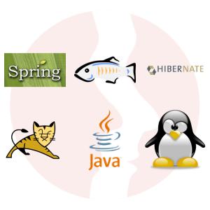 Java EE Developer - główne technologie