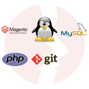Mid/Senior Magento Developer - główne technologie