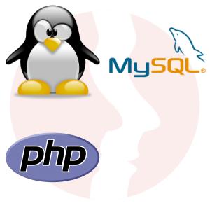Programista PHP & MySQL - główne technologie