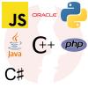 Software Developer (ERP Projects) - główne technologie