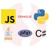 Sofware Developer (projekty ERP) - główne technologie