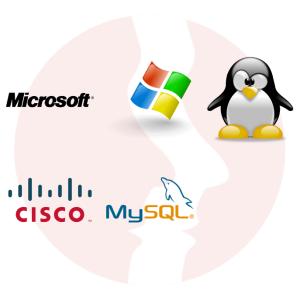IT Network and System Administrator - główne technologie