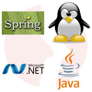 Java Staff Software Engineer - główne technologie
