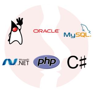 Developer Back-end - Java EE - główne technologie
