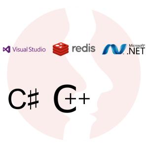 Senior Developer C# / .NET - główne technologie