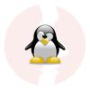 Python Developer (Pandas, NumPy area) - główne technologie
