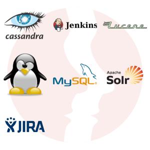 Specjalista IT (Linux) - główne technologie