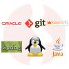 Programista PL/SQL ze znajomością Java - główne technologie