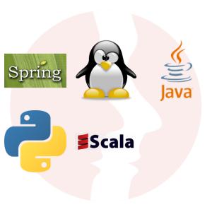 Big Data Software Developer Java - główne technologie