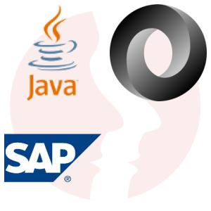 SAP BTP Consultant (mid/senior) - główne technologie