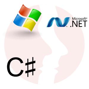 Senior Developer .net - Typemock - główne technologie