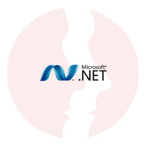 Developer .NET - główne technologie