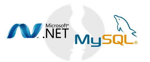 Developer .NET/SQL - główne technologie