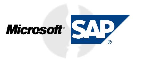 SAP Corporate IT Supply Chain Analyst - główne technologie