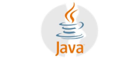 Java Team Leader - główne technologie